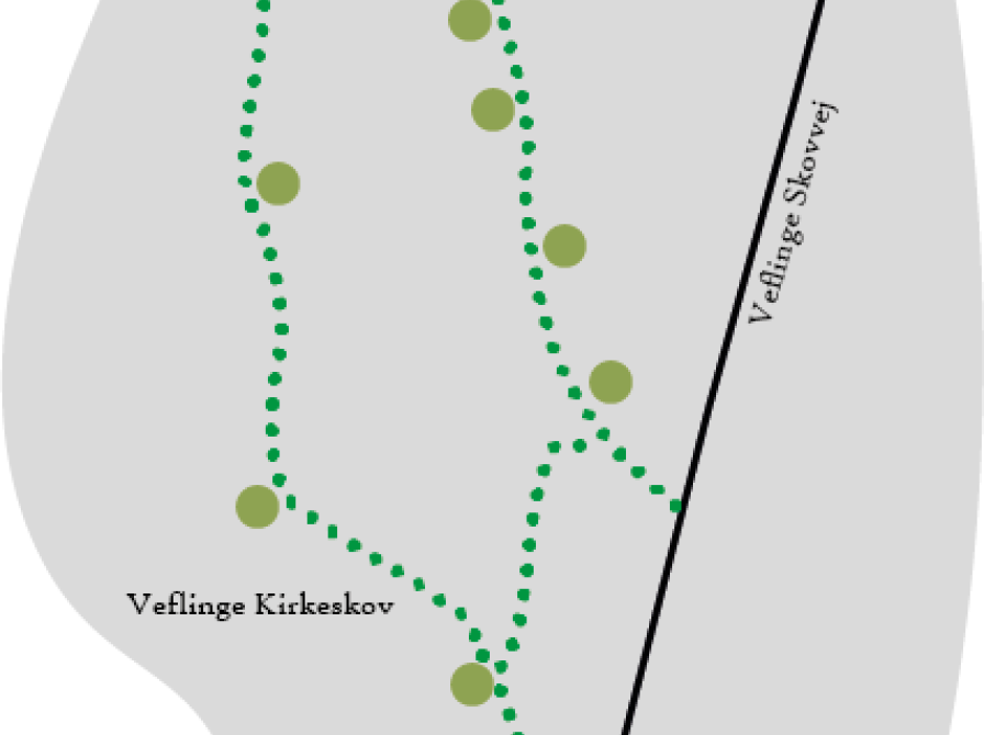 Stien i Veflinge Kirkeskov